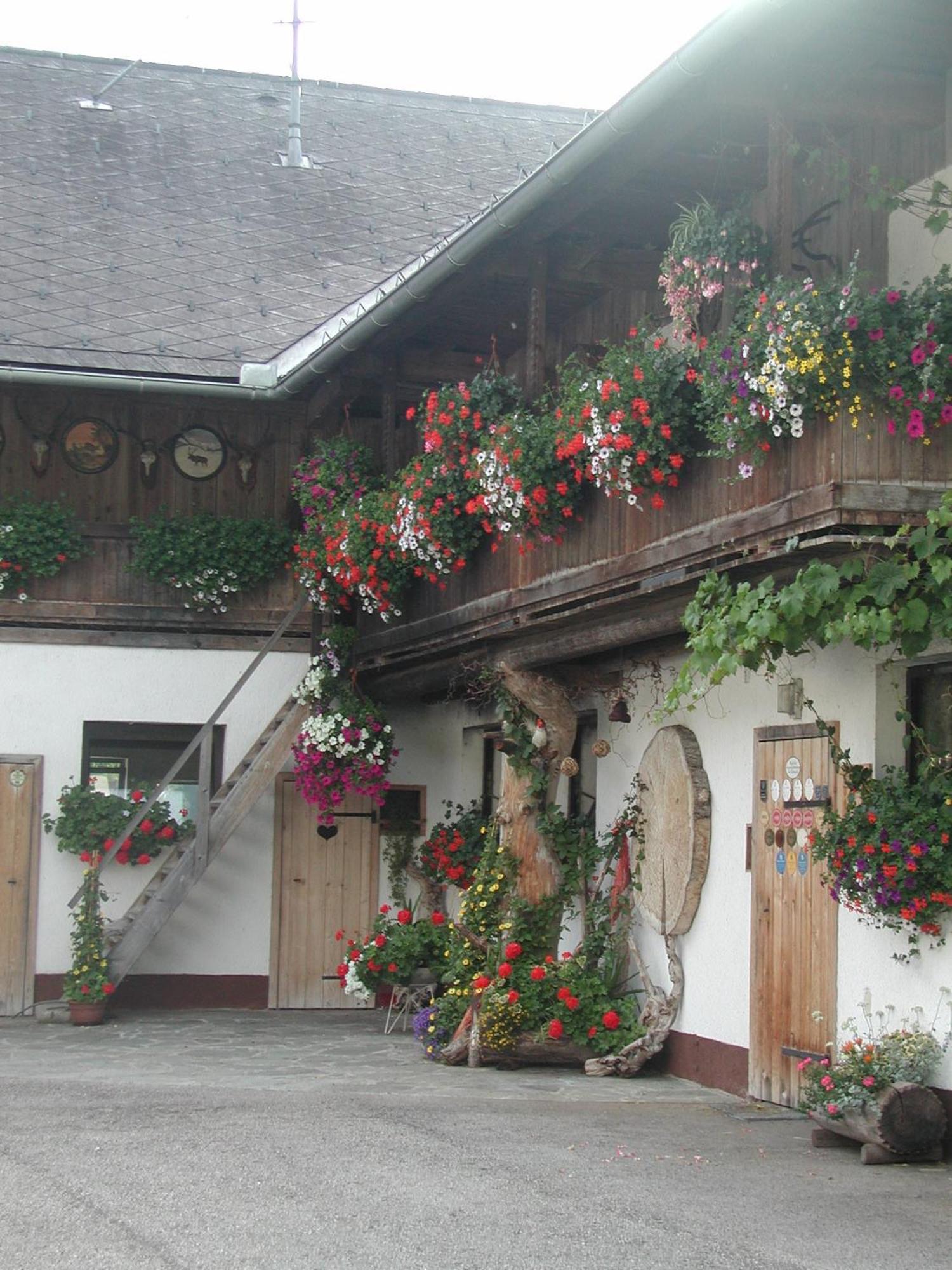 Ferienhof Unterfuehrholzergut Klaus an der Pyhrnbahn Exterior foto