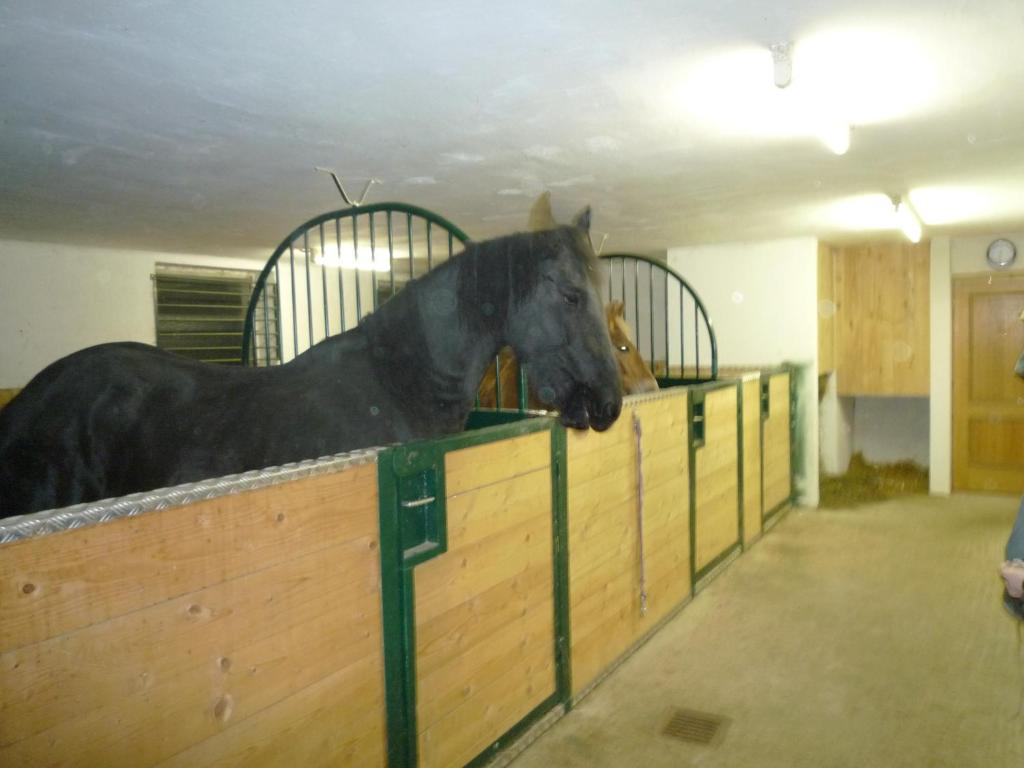 Ferienhof Unterfuehrholzergut Klaus an der Pyhrnbahn Exterior foto